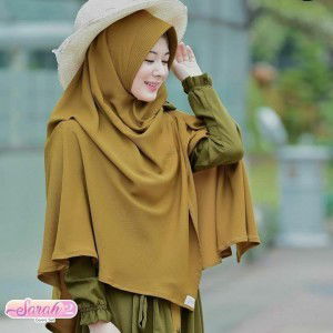 Dwi Astuti Sri W profile icon