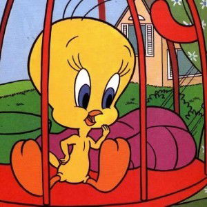 Nur Syifa profile icon