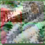 esti setiadi profile icon