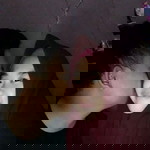 Sitty MsNs profile icon