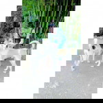 มณีรัตน์ จันทร์ทา profile icon