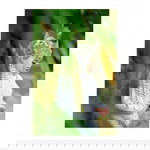 Siti Andariah profile icon