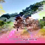 ฮ.นกฮูก ตาโต profile icon