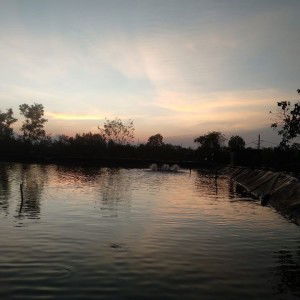 Hengky Saputra profile icon