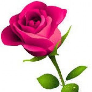 Cik Puan Nurul profile icon