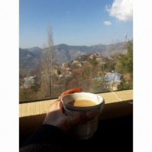 Nida Ahmed profile icon