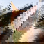 Marshima Lloww profile icon