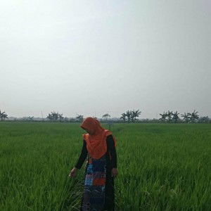 Aan Nurjanah profile icon