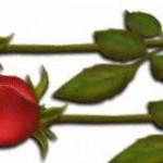 Siti Nur Shahirah Mahmudi profile icon