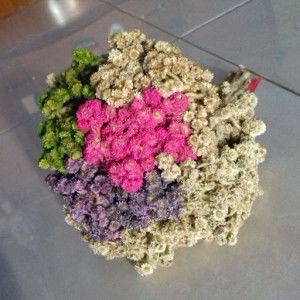 Indah Rahmawati profile icon