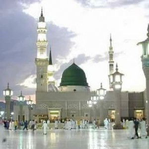 Farida Fauzee profile icon