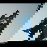 Rundhia Cempluk profile icon