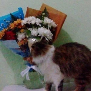 Dwi Yanti profile icon