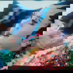 Ana Dianeza profile icon