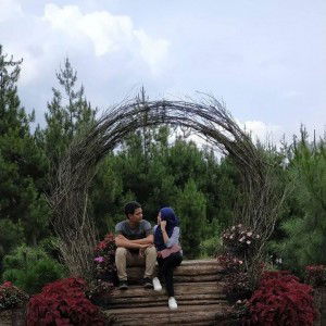 Ovy Damayanti profile icon