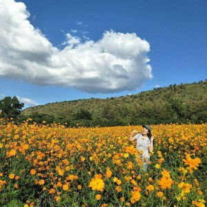 Kemi Sat profile icon