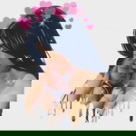 Collin Tolentino-Cuyos profile icon