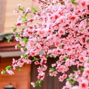 Novita Sari Putri profile icon