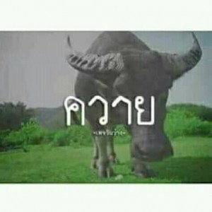 Saowalak Phanichon profile icon