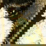 Lucy Soedjono profile icon