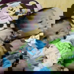 Kha AzLieza Ab Aziz profile icon