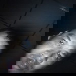Chalom Tabsri profile icon