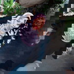 น้อง'ยา. ยัยบ๊อง. profile icon