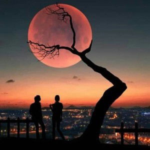 Chie Sweetie profile icon