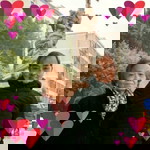 ชัย พาณิชย์ profile icon