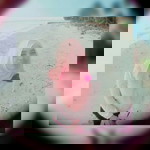 suryati yati profile icon