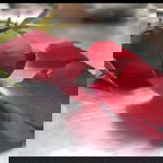 Happy World profile icon