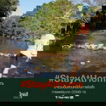 Chanyanuch Noree profile icon