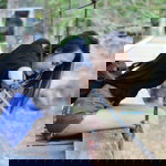 Nattakan Seangsawang profile icon