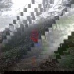 Ifnu Zaluri profile icon