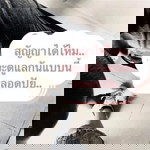 Tan Thai Bowy profile icon