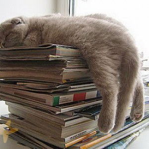 cooleiei profile icon