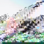 Ann Annty profile icon