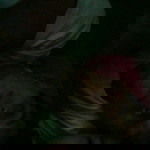 Ran Dek profile icon