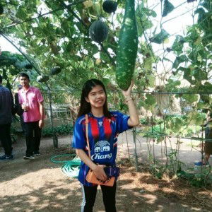 Suchayya Rangsantheiya profile icon