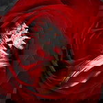 Syahnatul Khairunnisa profile icon