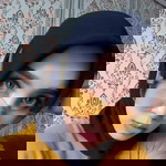 Renii Sagita profile icon