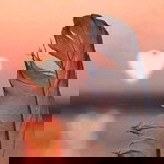 MaUch Loeth profile icon