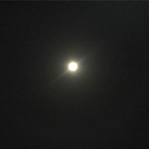 Tangmo Melon profile icon