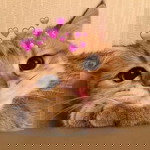 เฟิร์น ชภาภรณ์ profile icon