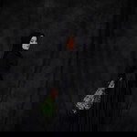 naladhipa profile icon