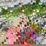 DEa Aminatus Zahro profile icon