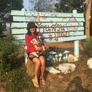 ณิชานาฎ ชูราศรี profile icon