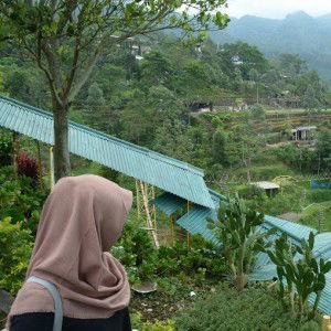 Baity Rizqika Nurhidayah profile icon