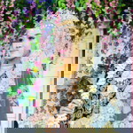 ika kurniawati profile icon