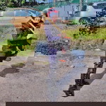 Nnor SyakiLa profile icon